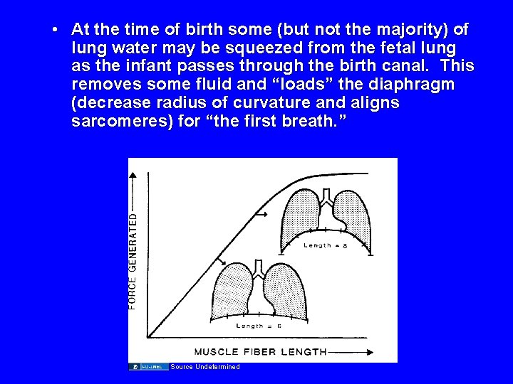  • At the time of birth some (but not the majority) of lung