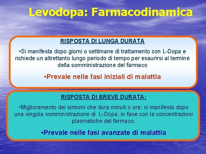 Levodopa: Farmacodinamica RISPOSTA DI LUNGA DURATA • Si manifesta dopo giorni o settimane di