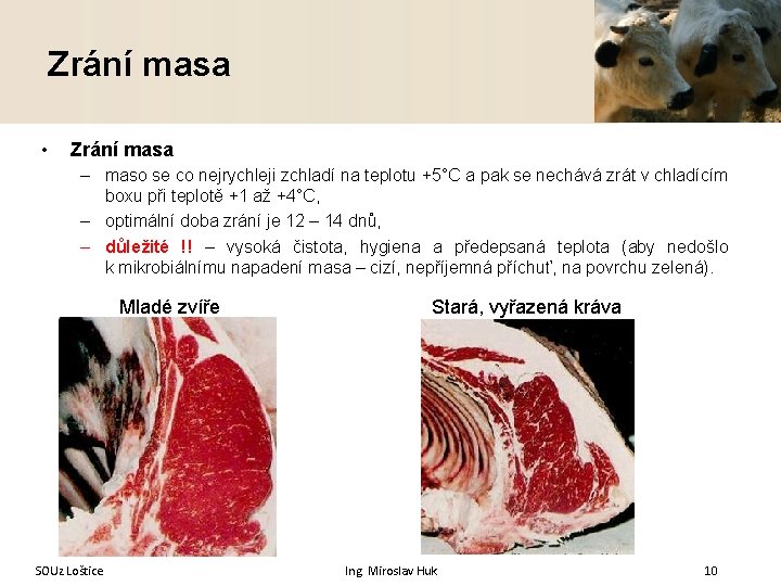 Zrání masa • Zrání masa – maso se co nejrychleji zchladí na teplotu +5°C