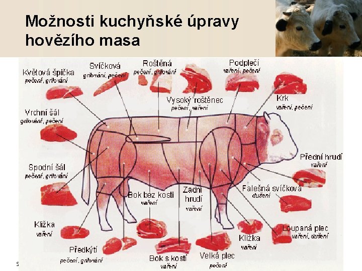 Možnosti kuchyňské úpravy hovězího masa SOUz Loštice Ing. Miroslav Huk 11 