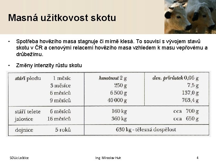 Masná užitkovost skotu • Spotřeba hovězího masa stagnuje či mírně klesá. To souvisí s