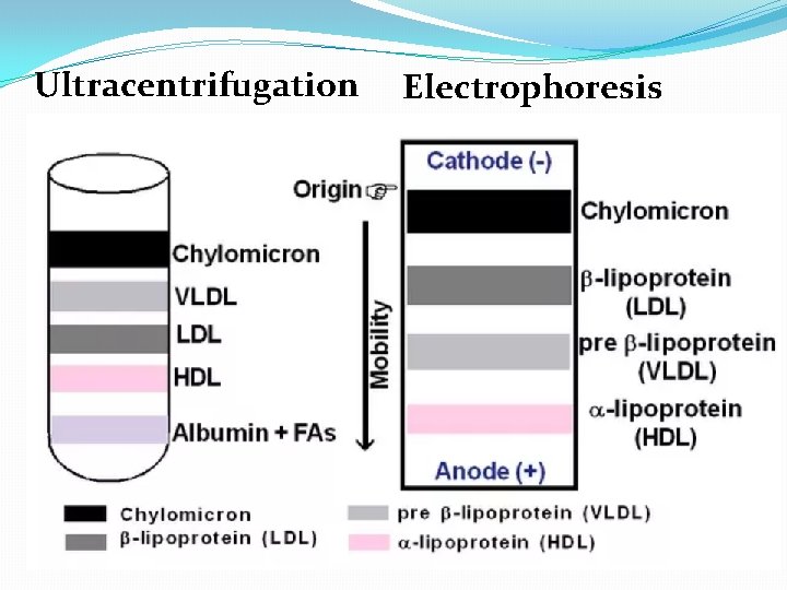 Ultracentrifugation Electrophoresis 