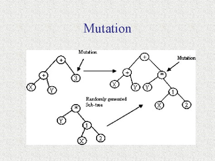 Mutation 