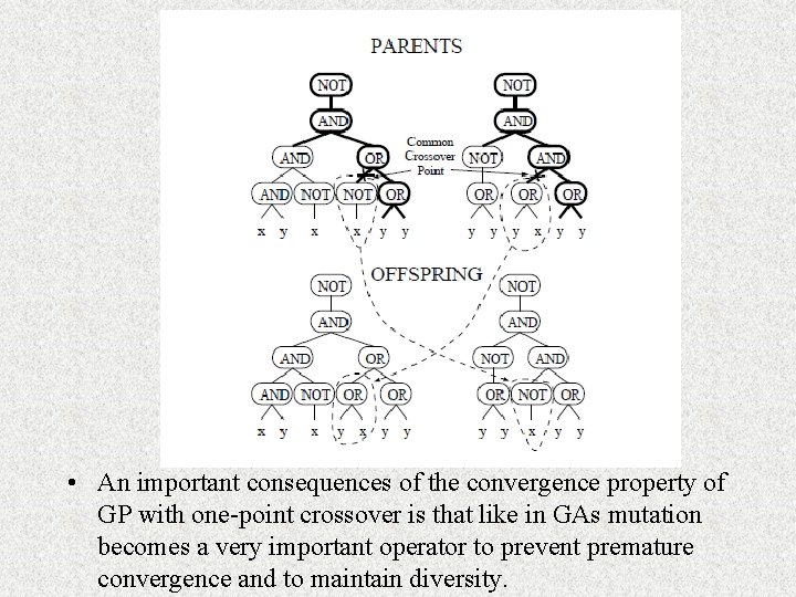  • An important consequences of the convergence property of GP with one-point crossover