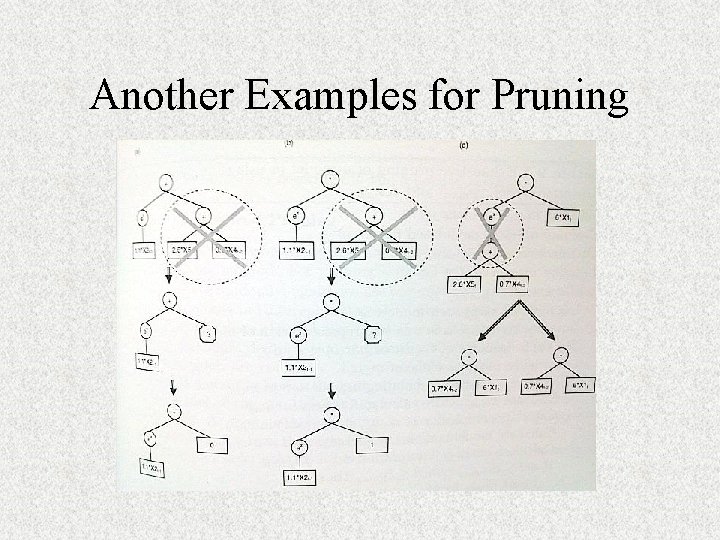 Another Examples for Pruning 