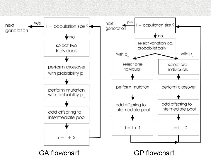 GA flowchart GP flowchart 