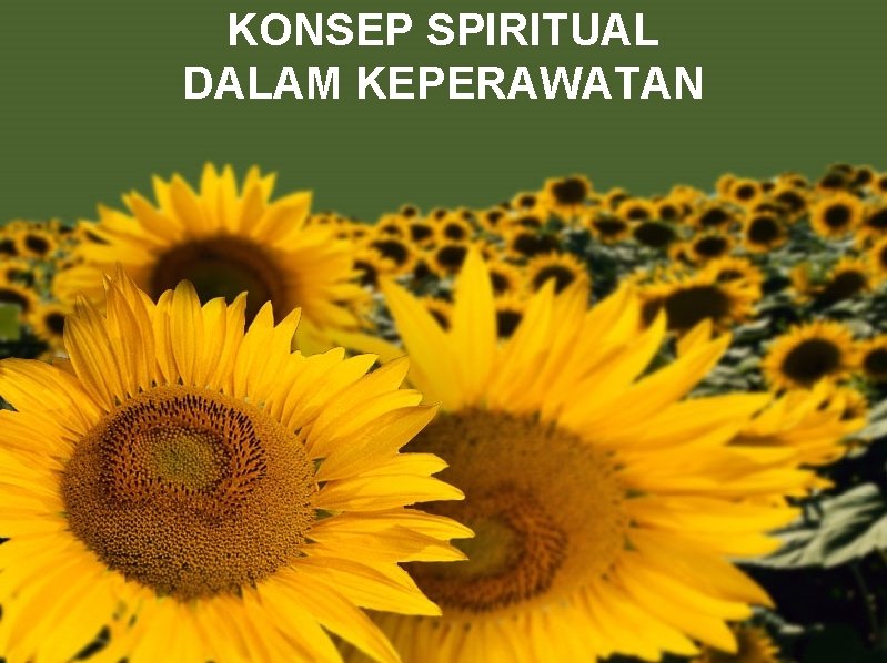 KONSEP SPIRITUAL DALAM KEPERAWATAN 