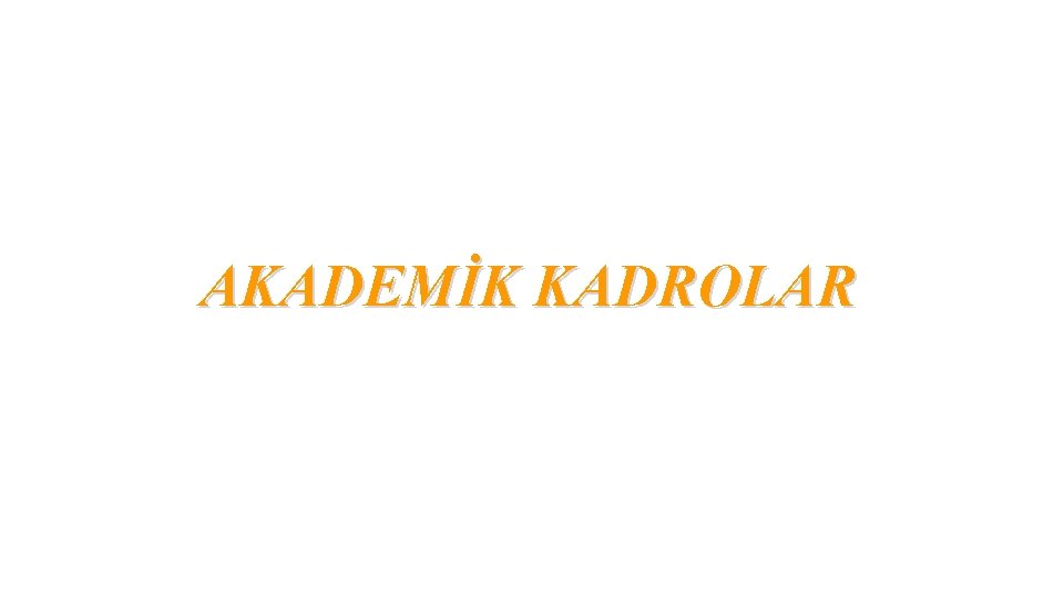 AKADEMİK KADROLAR 