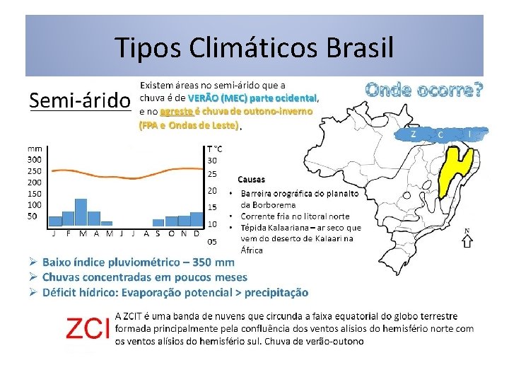 Tipos Climáticos Brasil 
