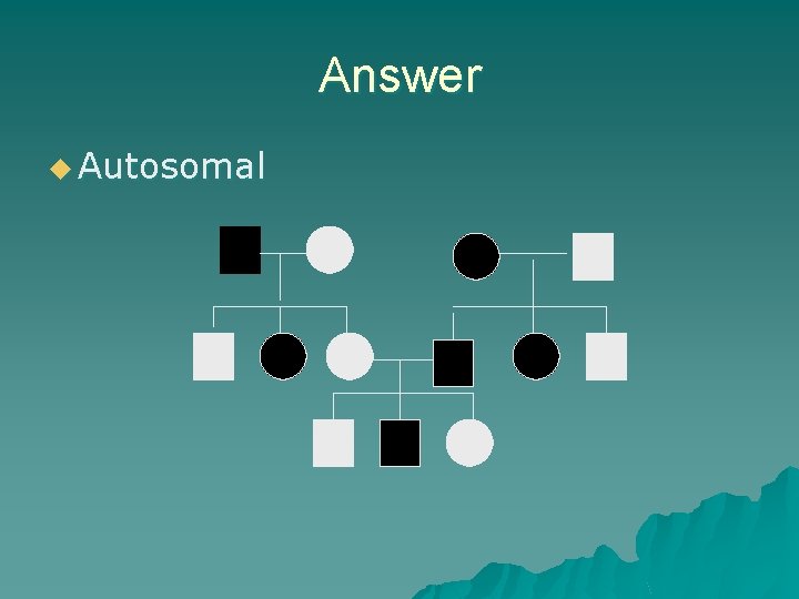 Answer u Autosomal Answer u Autosomal
