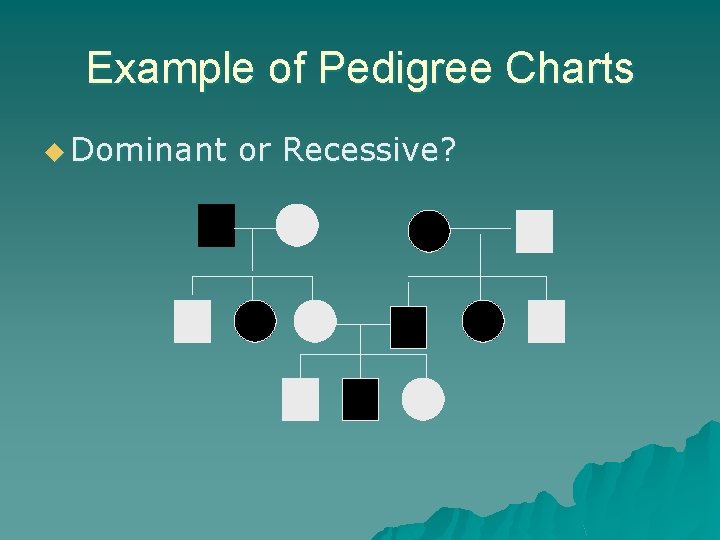 Example of Pedigree Charts u Dominant or Recessive? Example of Pedigree Charts u Dominant or Recessive?