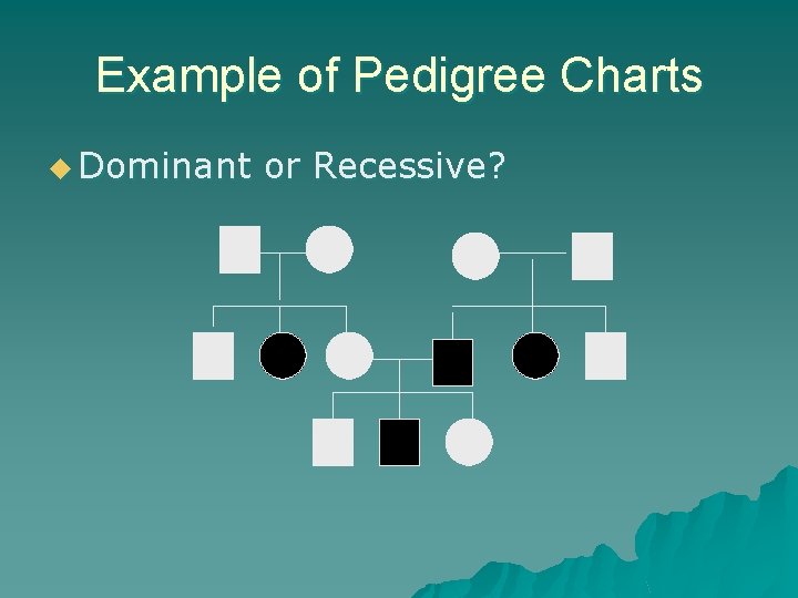 Example of Pedigree Charts u Dominant or Recessive? Example of Pedigree Charts u Dominant or Recessive?