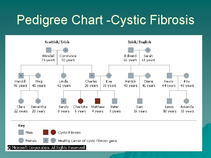 Pedigree Chart -Cystic Fibrosis Pedigree Chart -Cystic Fibrosis