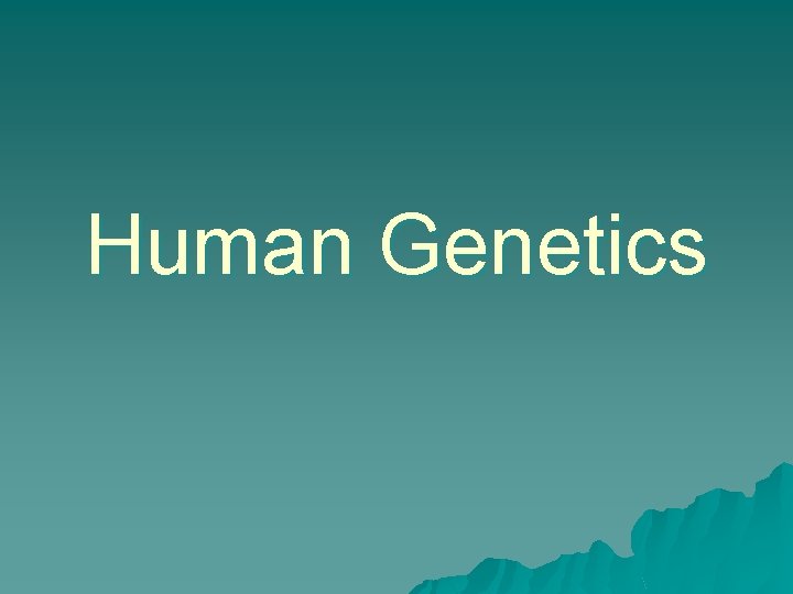 Human Genetics Human Genetics