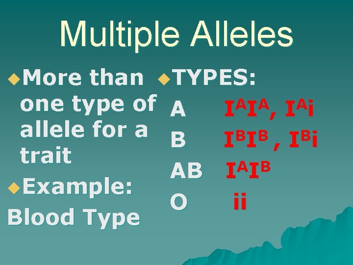 Multiple Alleles u. More than u. TYPES: A A A one type of A Multiple Alleles u. More than u. TYPES: A A A one type of A