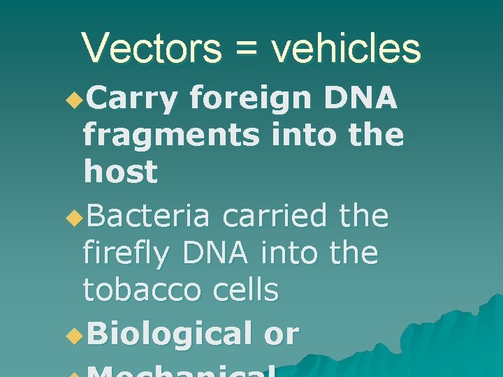 Vectors = vehicles u. Carry foreign DNA fragments into the host u. Bacteria carried Vectors = vehicles u. Carry foreign DNA fragments into the host u. Bacteria carried