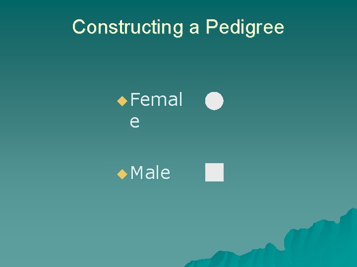 Constructing a Pedigree u Femal e u Male Constructing a Pedigree u Femal e u Male