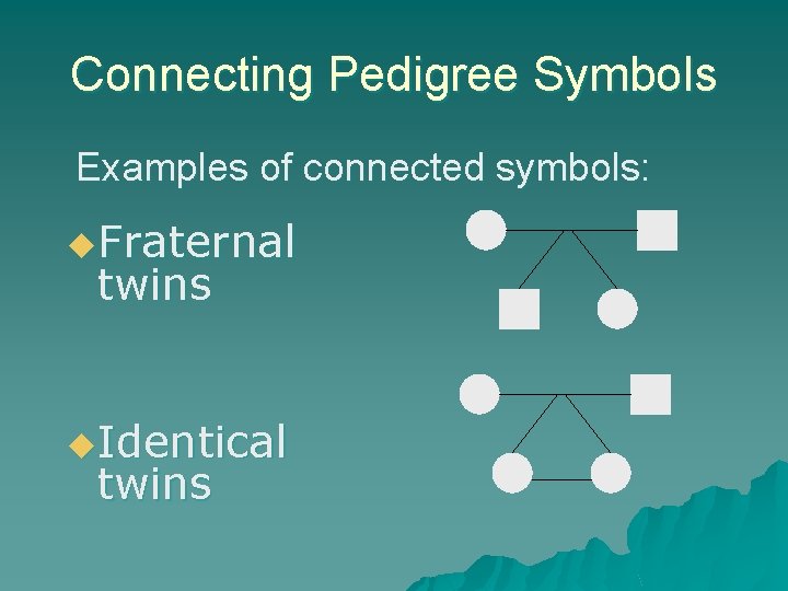Connecting Pedigree Symbols Examples of connected symbols: u. Fraternal twins u. Identical twins Connecting Pedigree Symbols Examples of connected symbols: u. Fraternal twins u. Identical twins