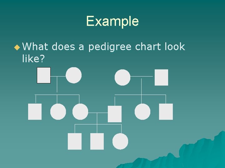 Example u What like? does a pedigree chart look Example u What like? does a pedigree chart look