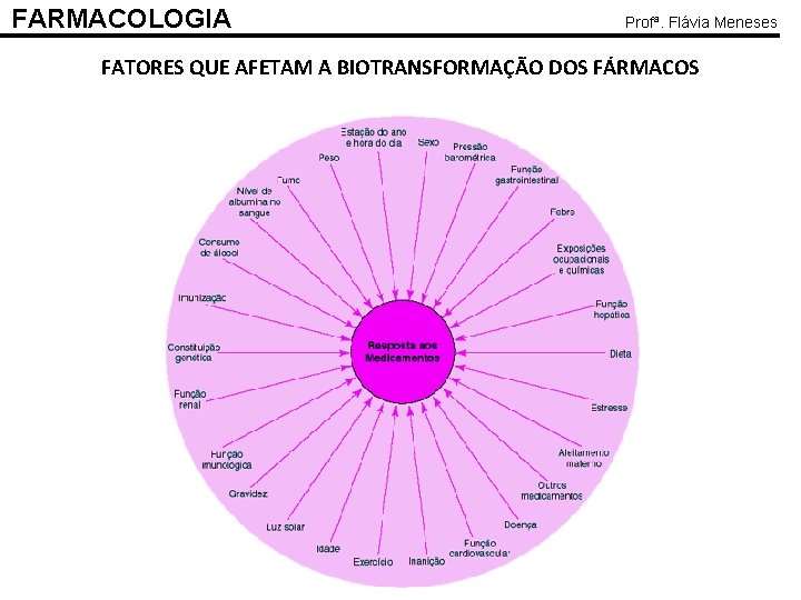 FARMACOLOGIA Profª. Flávia Meneses FATORES QUE AFETAM A BIOTRANSFORMAÇÃO DOS FÁRMACOS 