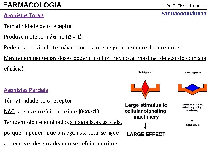 FARMACOLOGIA Agonistas Totais Profª. Flávia Meneses Farmacodinâmica Têm afinidade pelo receptor Produzem efeito máximo
