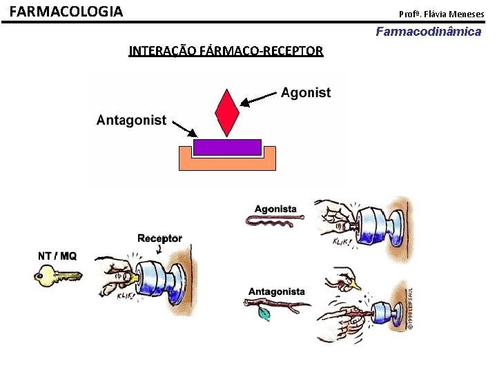 FARMACOLOGIA Profª. Flávia Meneses Farmacodinâmica INTERAÇÃO FÁRMACO-RECEPTOR 