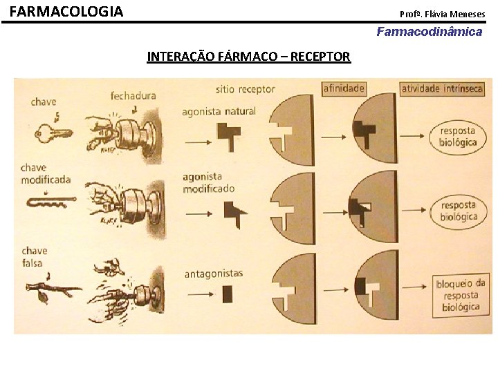FARMACOLOGIA Profª. Flávia Meneses Farmacodinâmica INTERAÇÃO FÁRMACO – RECEPTOR 