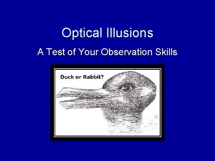 Optical Illusions A Test of Your Observation Skills 
