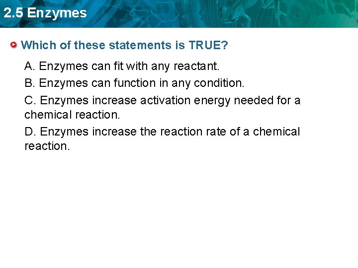 2. 5 Enzymes Which of these statements is TRUE? A. Enzymes can fit with 2. 5 Enzymes Which of these statements is TRUE? A. Enzymes can fit with
