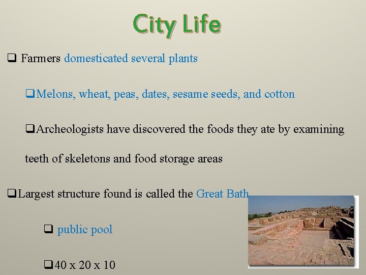 City Life q Farmers domesticated several plants q. Melons, wheat, peas, dates, sesame seeds,