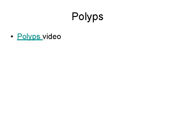 Polyps • Polyps video 