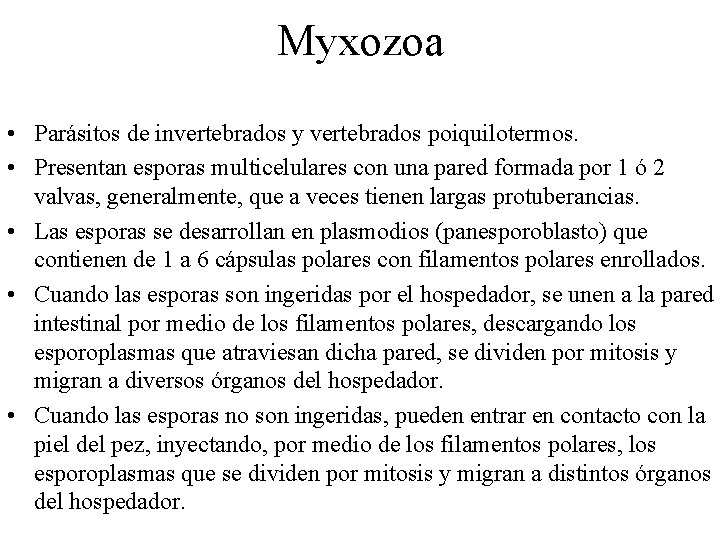 Myxozoa • Parásitos de invertebrados y vertebrados poiquilotermos. • Presentan esporas multicelulares con una Myxozoa • Parásitos de invertebrados y vertebrados poiquilotermos. • Presentan esporas multicelulares con una