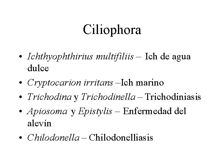 Ciliophora • Ichthyophthirius multifiliis – Ich de agua dulce • Cryptocarion irritans –Ich marino Ciliophora • Ichthyophthirius multifiliis – Ich de agua dulce • Cryptocarion irritans –Ich marino