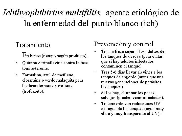 Ichthyophthirius multifiliis, agente etiológico de la enfermedad del punto blanco (ich) Prevención y control Ichthyophthirius multifiliis, agente etiológico de la enfermedad del punto blanco (ich) Prevención y control