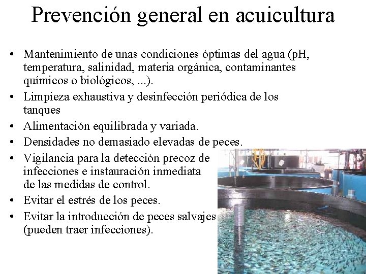 Prevención general en acuicultura • Mantenimiento de unas condiciones óptimas del agua (p. H, Prevención general en acuicultura • Mantenimiento de unas condiciones óptimas del agua (p. H,