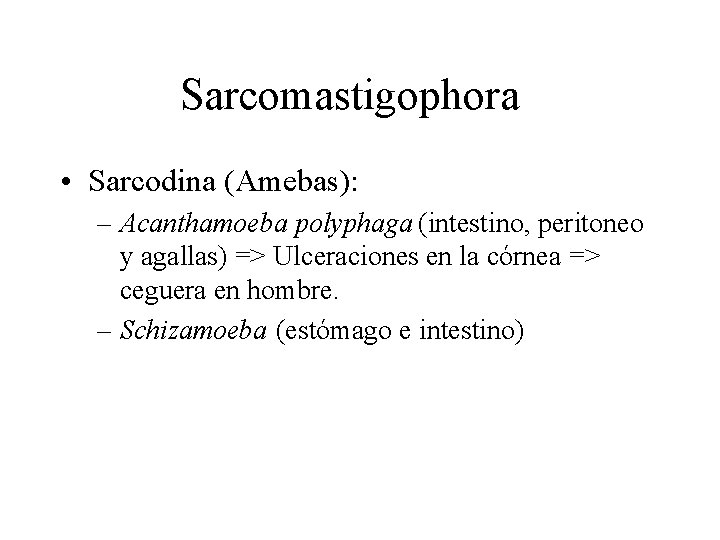 Sarcomastigophora • Sarcodina (Amebas): – Acanthamoeba polyphaga (intestino, peritoneo y agallas) => Ulceraciones en Sarcomastigophora • Sarcodina (Amebas): – Acanthamoeba polyphaga (intestino, peritoneo y agallas) => Ulceraciones en