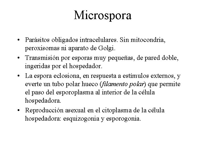 Microspora • Parásitos obligados intracelulares. Sin mitocondria, peroxisomas ni aparato de Golgi. • Transmisión Microspora • Parásitos obligados intracelulares. Sin mitocondria, peroxisomas ni aparato de Golgi. • Transmisión
