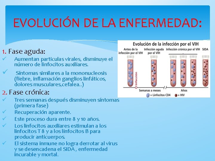 EL SIDA Qu es el Sida El VIH