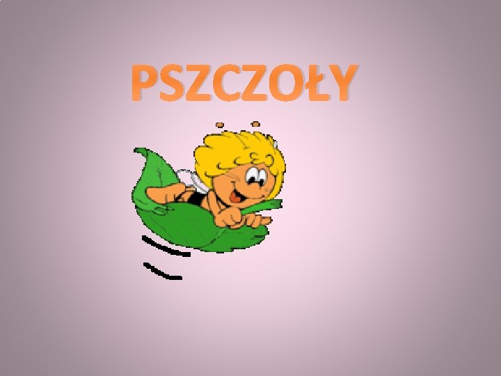PSZCZOŁY 