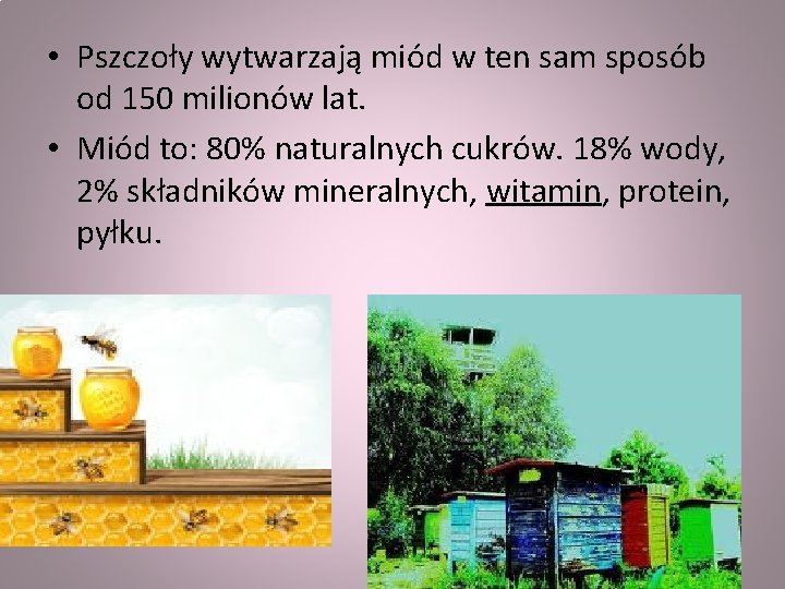  • Pszczoły wytwarzają miód w ten sam sposób od 150 milionów lat. •