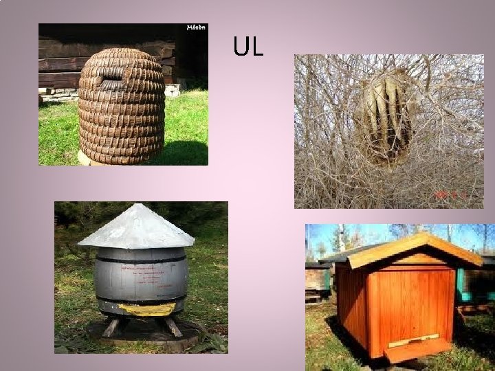 UL 