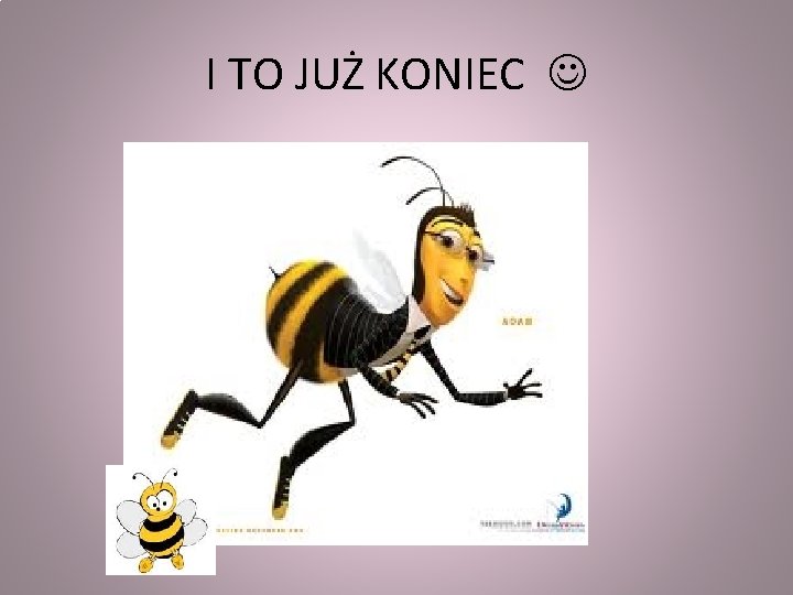 I TO JUŻ KONIEC 