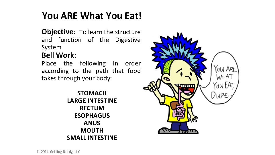 You ARE What You Eat! Objective: To learn the structure and function of the