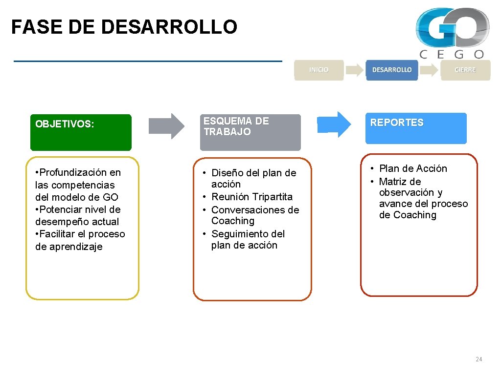 FASE DE DESARROLLO OBJETIVOS: ESQUEMA DE TRABAJO REPORTES • Profundización en las competencias del