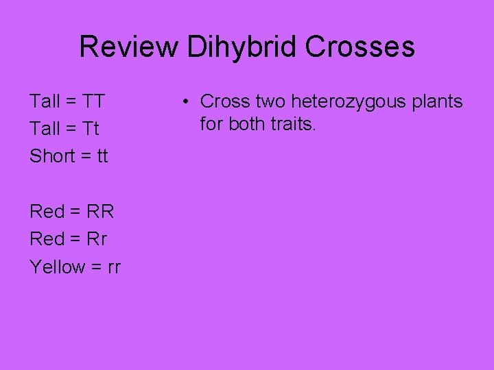 Review Dihybrid Crosses Tall = TT Tall = Tt Short = tt Red =