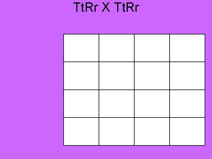 Tt. Rr X Tt. Rr 