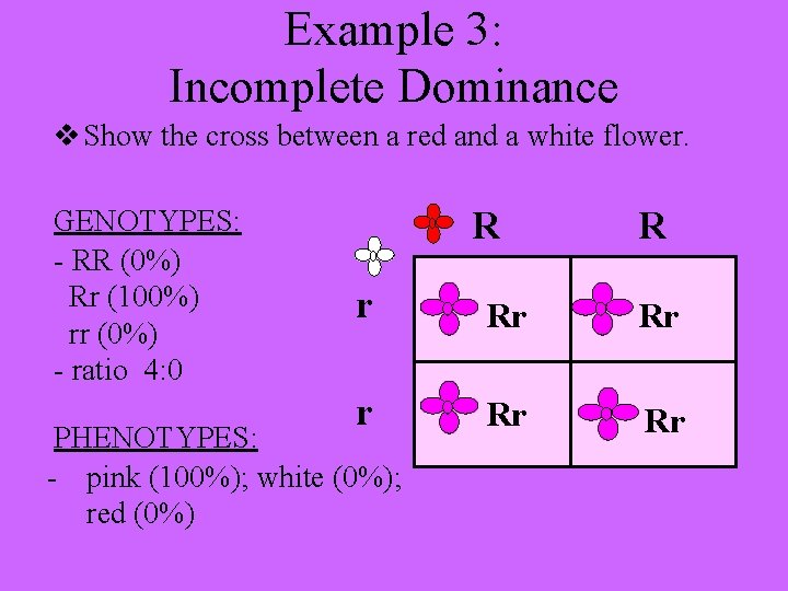 Example 3: Incomplete Dominance v Show the cross between a red and a white