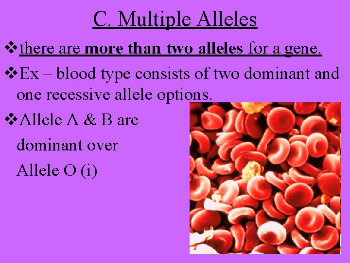 C. Multiple Alleles vthere are more than two alleles for a gene. v. Ex