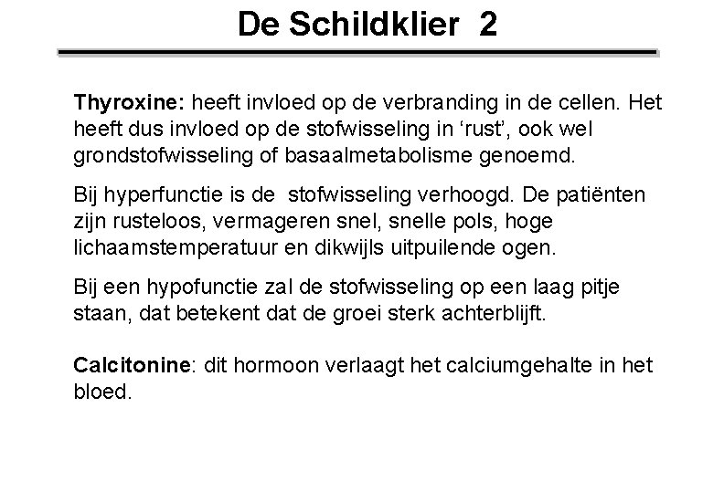 De Schildklier 2 Thyroxine: heeft invloed op de verbranding in de cellen. Het heeft