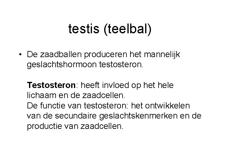 testis (teelbal) • De zaadballen produceren het mannelijk geslachtshormoon testosteron. Testosteron: heeft invloed op